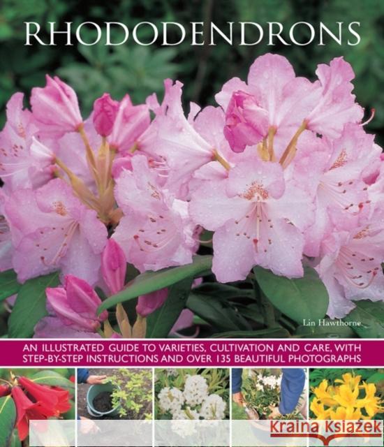 Rhododendrons Hawthorne Lin 9781780193649 Anness Publishing