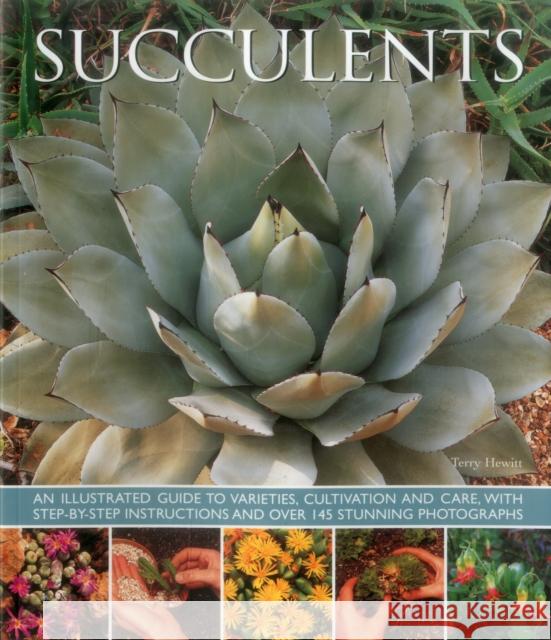 Succulents Hewitt Terry 9781780193656 Anness Publishing