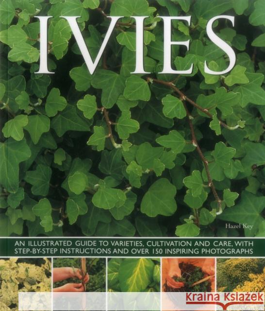 Ivies Key Hazel 9781780193687 SOUTHWATER