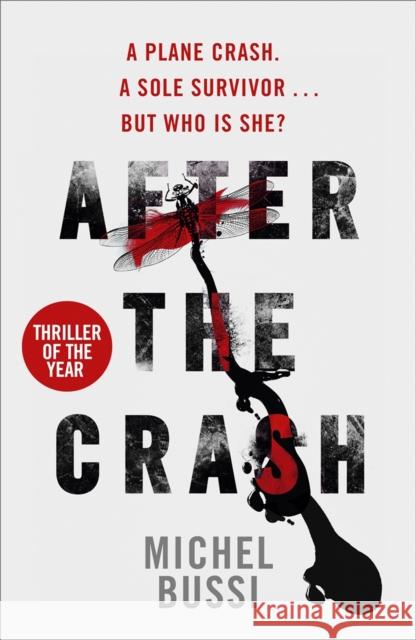 After the Crash Michel Bussi 9781780227320