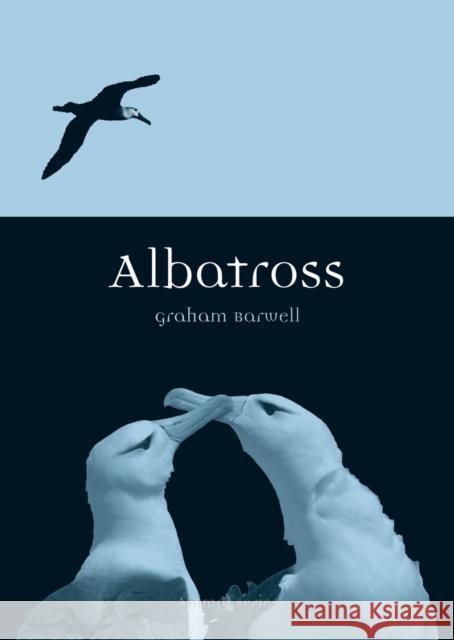 Albatross Graham Barwell 9781780231914