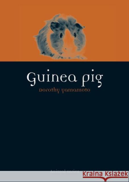 Guinea Pig Dorothy Yamamoto 9781780234267 Reaktion Books