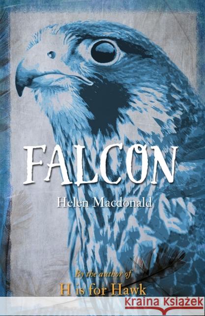 Falcon Helen Macdonald   9781780236414