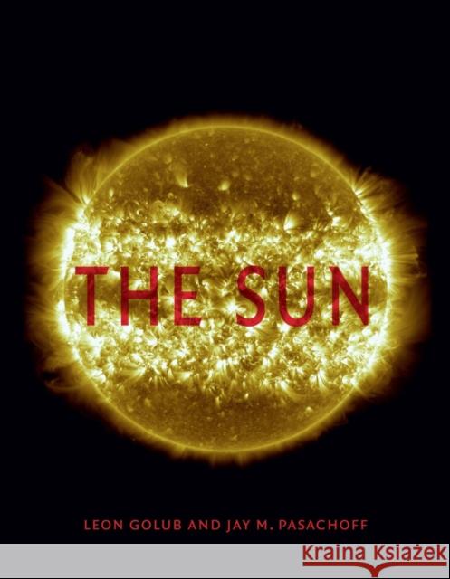 The Sun Golub, Leon 9781780237572 Reaktion Books