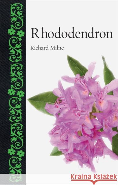 Rhododendron Richard Milne 9781780238159 Reaktion Books