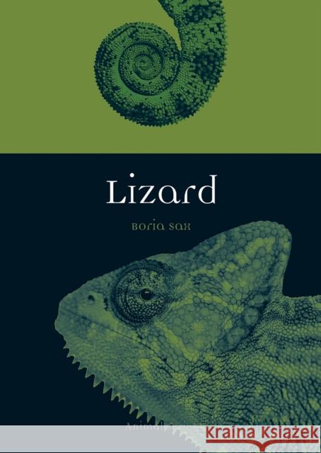 Lizard Boria Sax 9781780238289 Reaktion Books