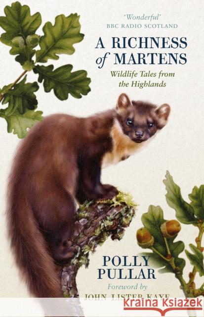 A Richness of Martens: Wildlife Tales from the Highlands Polly Pullar 9781780276366 Birlinn General