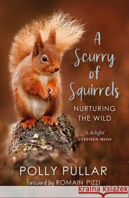 A Scurry of Squirrels: Nurturing The Wild Polly Pullar 9781780277752 Birlinn General