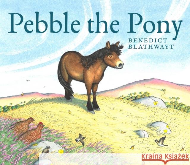 Pebble the Pony Benedict Blathwayt 9781780278865 BC Books
