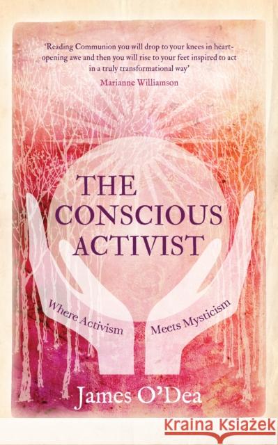 The Conscious Activist: Where Activism Meets Mysticism O'Dea, James 9781780288437 Watkins Publishing