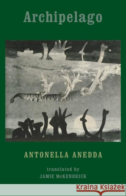 Archipelago Antonella Anneda 9781780371085 BLOODAXE BOOKS