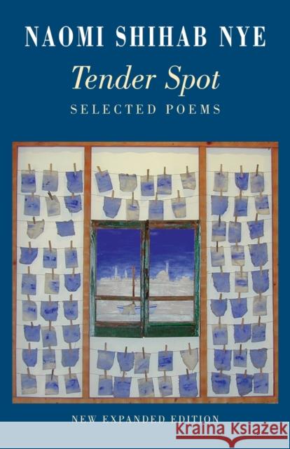 Tender Spot: Selected Poems Naomi Shihab Nye 9781780372808