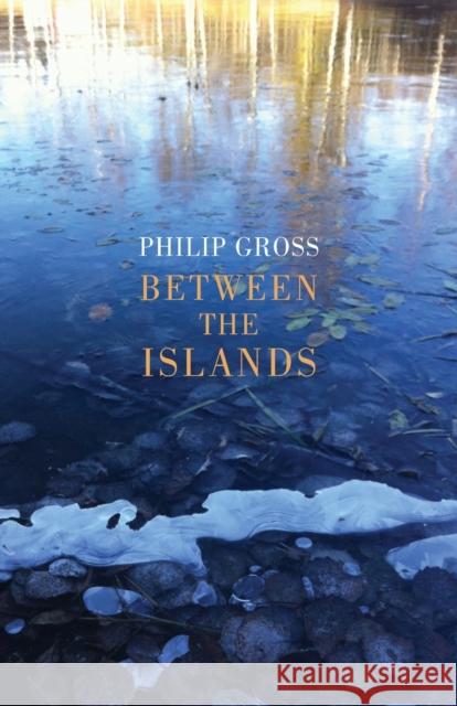 Between the Islands Philip Gross 9781780375069 Bloodaxe Books