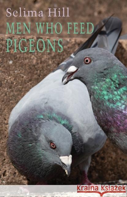 Men Who Feed Pigeons Selima Hill 9781780375861 Bloodaxe Books Ltd