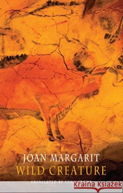 Wild Creature Joan Margarit 9781780375922 Bloodaxe Books Ltd