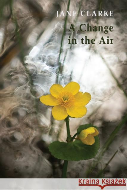 A Change in the Air Jane Clarke 9781780376592 Bloodaxe Books Ltd