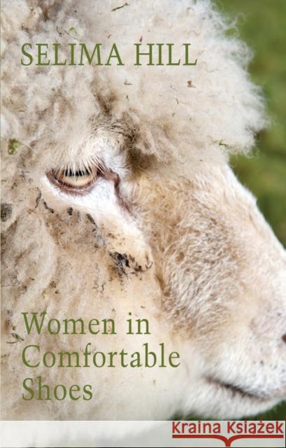 Women in Comfortable Shoes  9781780376677 Bloodaxe Books Ltd