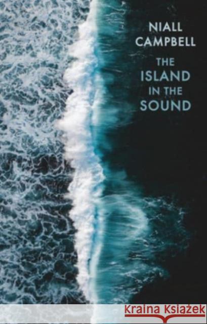 The Island in the Sound  9781780377216 Bloodaxe Books Ltd