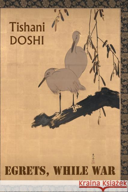 Egrets, While War Tishani Doshi 9781780377896