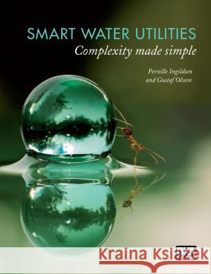 Smart Water Utilities: Complexity Made Simple Pernille Ingildsen Gustaf Olsson 9781780407579 IWA Publishing (Intl Water Assoc)