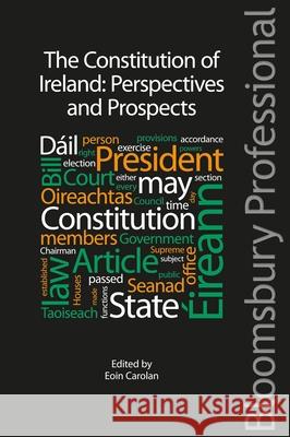 The Constitution of Ireland: Perspectives and Prospects Eoin Carolan 9781780431383