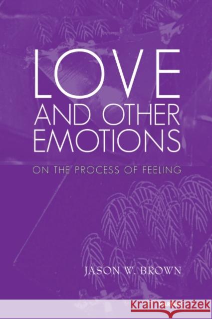 Love and Other Emotions: On the Process of Feeling Jason W. Brown 9781780490717 Karnac Books