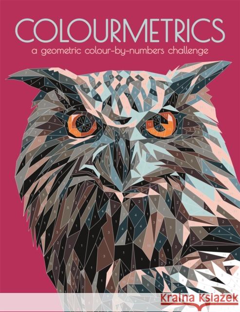 Colourmetrics: A Geometric Colour by Numbers Challenge Buster Books 9781780557489 Michael O'Mara Books Ltd