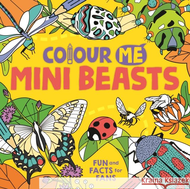 Colour Me: Mini Beasts: Fun and Facts for Fans Daniela (Illustrator) Massironi 9781780557663