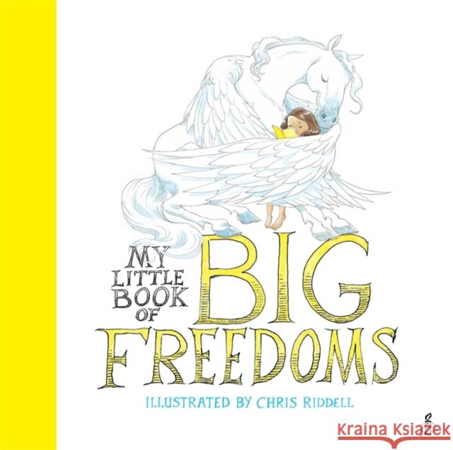 My Little Book of Big Freedoms: The Human Rights Act in Pictures Amnesty International 9781780557922