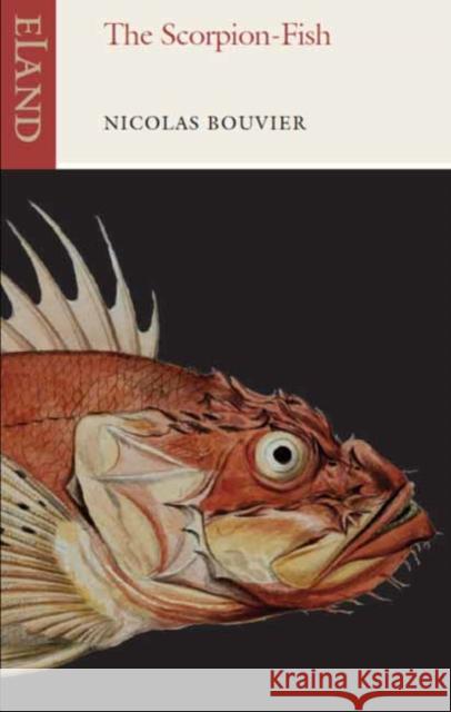 The Scorpion-Fish Nicolas Bouvier 9781780600444