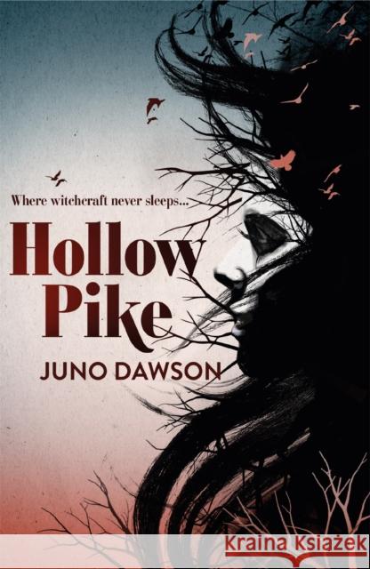 Hollow Pike James Dawson 9781780621289