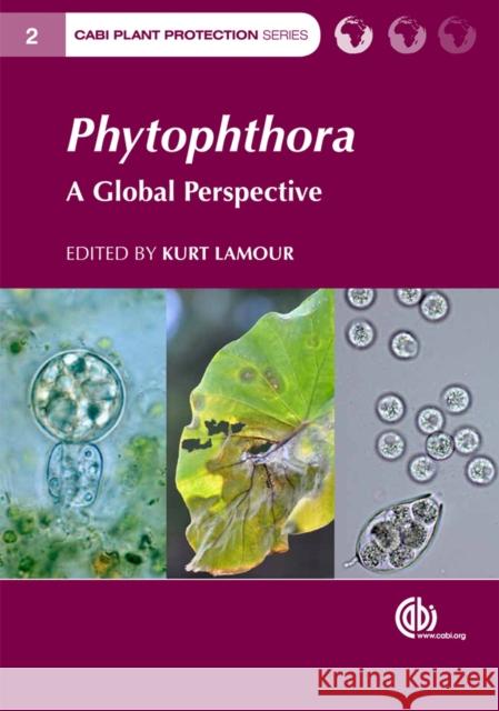 Phytophthora: A Global Perspective Lamour, Kurt 9781780640938 C.A.B. International