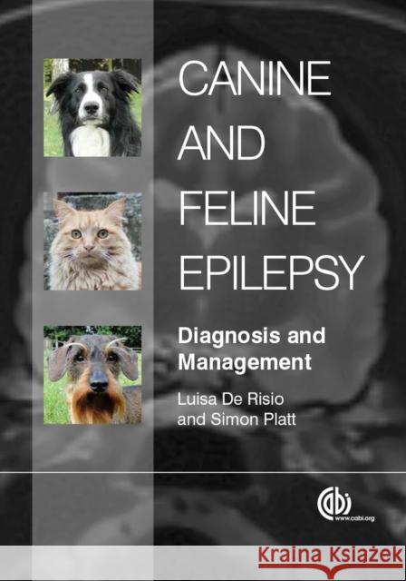 Canine and Feline Epilepsy: Diagnosis and Management De Risio, Luisa 9781780641096 CABI Publishing