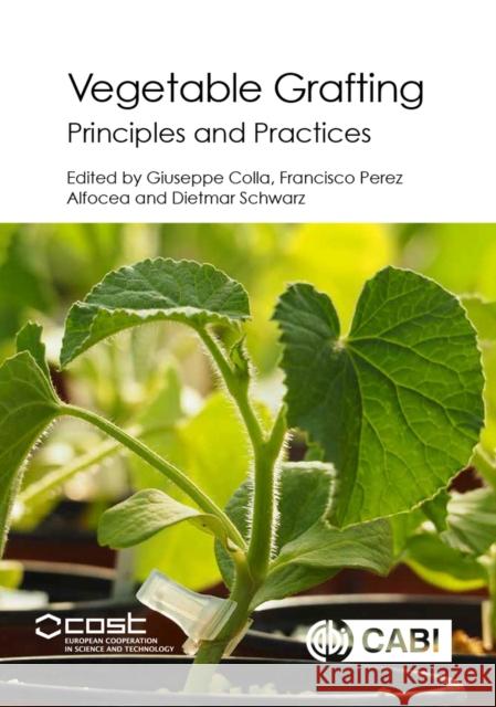 Vegetable Grafting: Principles and Practices Giuseppe Colla Francisco Perez-Alfocea Dietmar Schwarz 9781780648972 Cabi