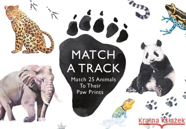 Match a Track: Match 25 Animals to Their Paw Prints Claudia Boldt 9781780679648