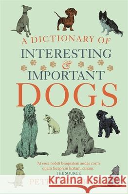 A Dictionary of Interesting and Important Dogs: A Wonderful and Witty Homage to Man's Most Faithful Friend Peter J. Conradi 9781780725178