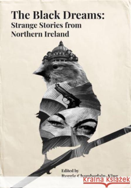 The Black Dreams: Strange Stories from Northern Ireland Reggie Chamberlain-King 9781780733289