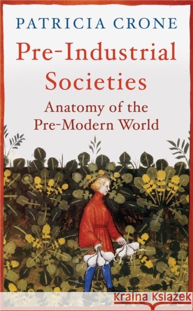 Pre-Industrial Societies: Anatomy of the Pre-Modern World Patricia Crone 9781780747415