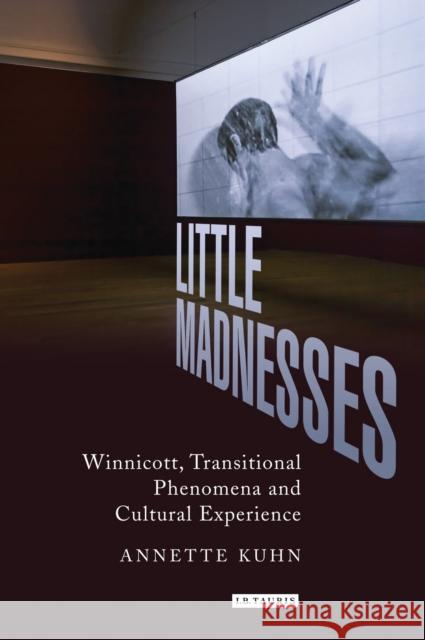 Little Madnesses : Winnicott, Transitional Phenomena & Cultural Experience Annette Kuhn 9781780761619