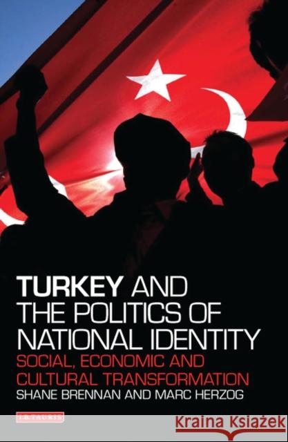 Turkey and the Politics of National Identity: Social, Economic and Cultural Transformation Brennan, Shane 9781780765396 0