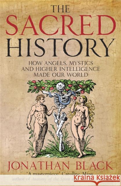 The Sacred History: How Angels, Mystics and Higher Intelligence Made Our World Jonathan Black 9781780874876 Quercus Publishing