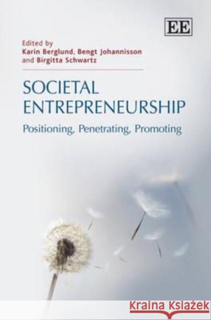 Societal Entrepreneurship: Positioning, Penetrating, Promoting Karin Berlgund Bengt Johannisson Birgitta Schwartz 9781781006320 Edward Elgar Publishing Ltd