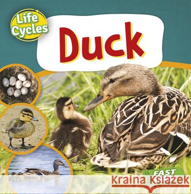 Duck Nancy Dickmann 9781781215364 Brown Bear Books