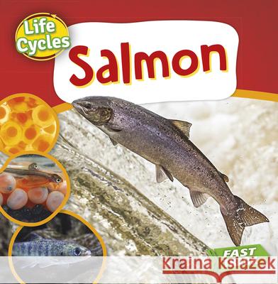 Salmon Nancy Dickmann 9781781215395
