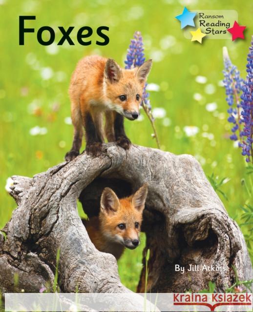 Foxes: Phonics Phase 5 Atkins Jill 9781781277843 Ransom Publishing