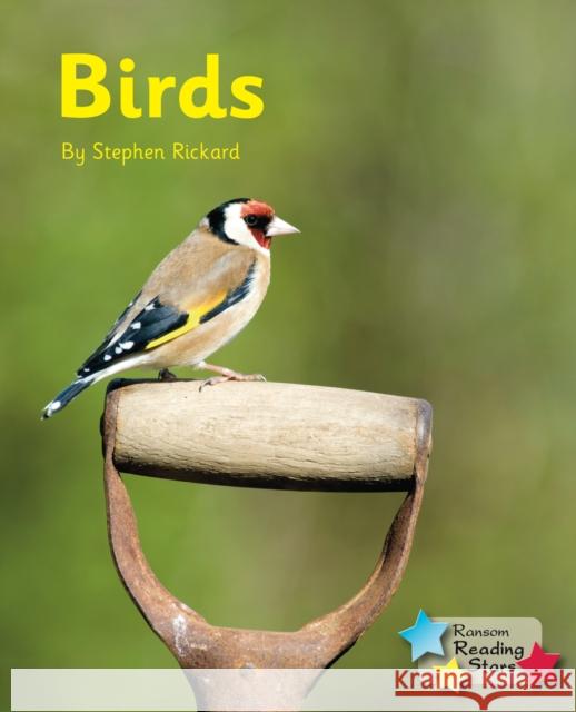 Birds Stephen Rickard 9781781277935 RANSOM PUBLISHING LTD