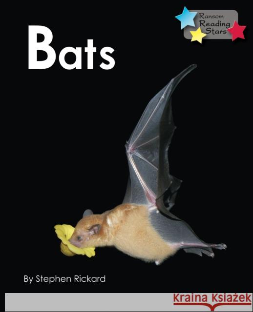 Bats Stephen Rickard 9781781278130 RANSOM PUBLISHING LTD