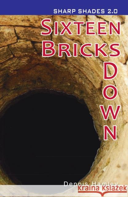 Sixteen Bricks Down  (Sharp Shades) Dennis Hamley 9781781279847