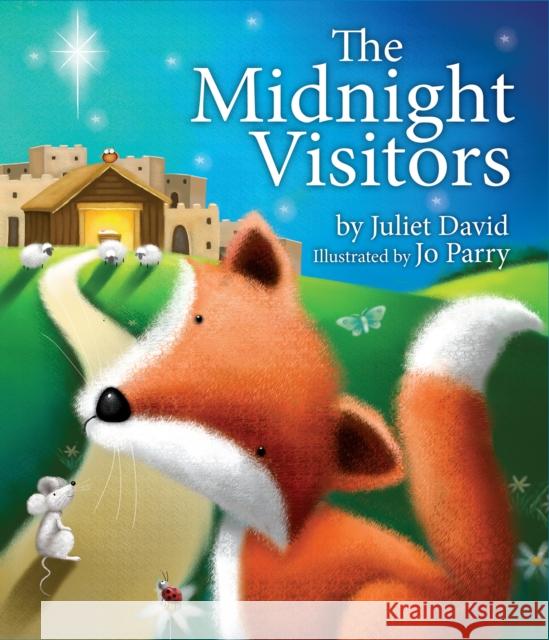The Midnight Visitors Juliet, Juliet 9781781281963 Candle Books
