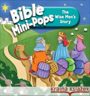 The Wise Man's Story Karen Williamson Lucy Barnard 9781781282847